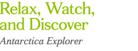 Relax, Watch,  and Discover