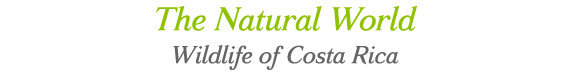 The Natural World