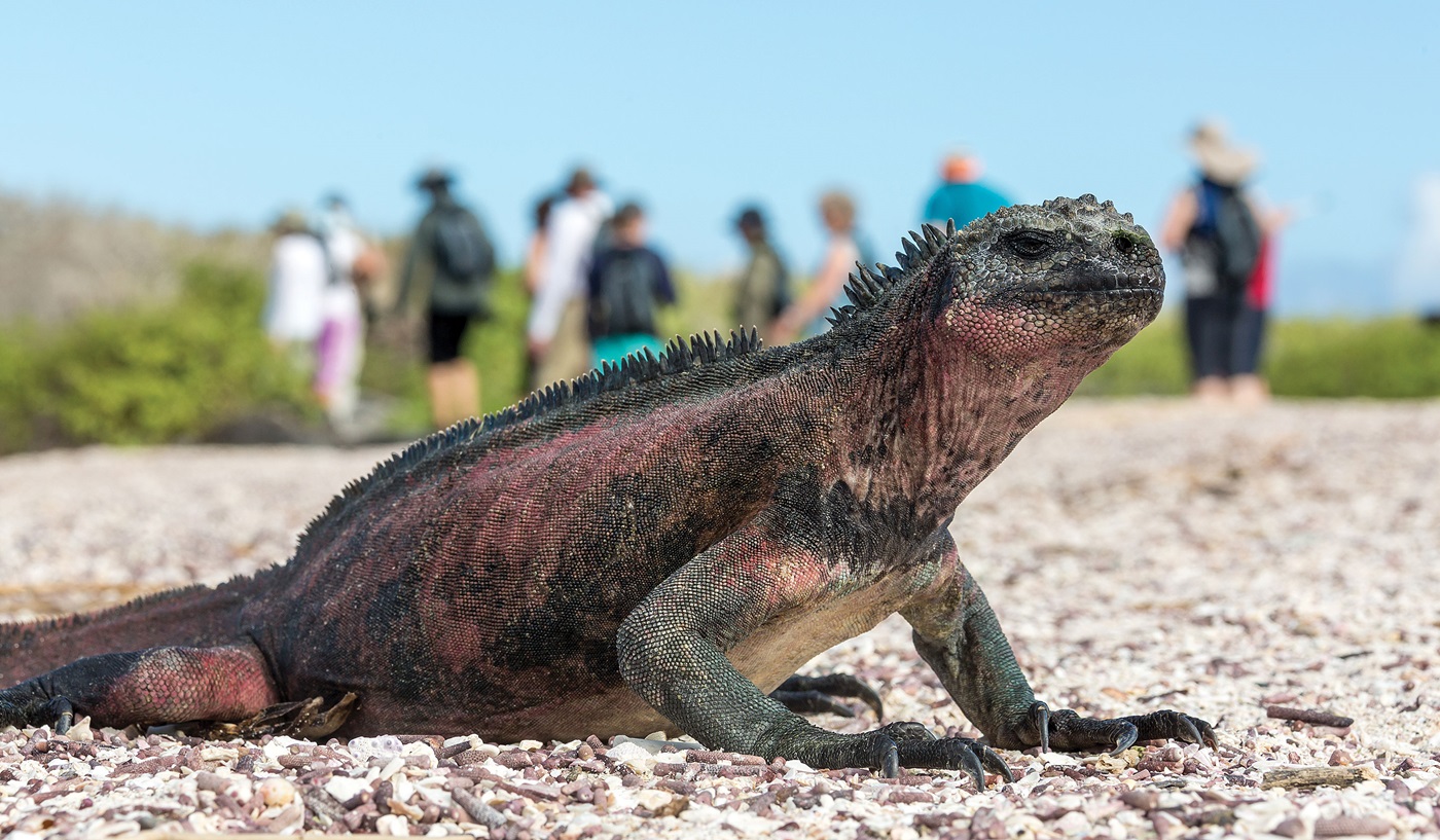 Galapagos Islands Cruise