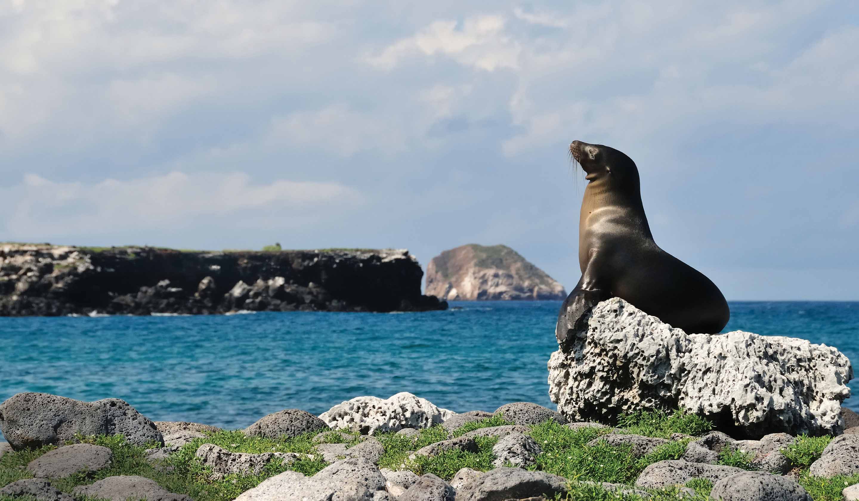 Galapagos Escorted Cruises