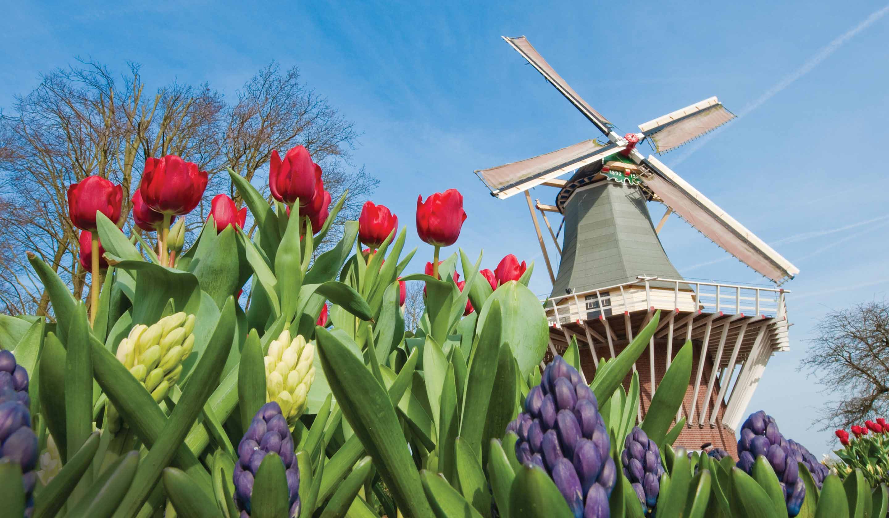 Netherlands & Belgium Escorted Cruises