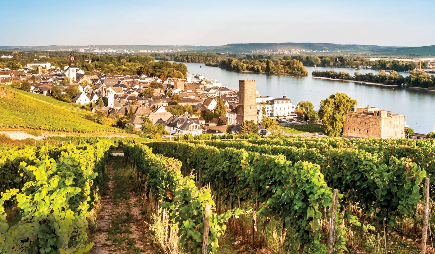 Rhine River Cruising