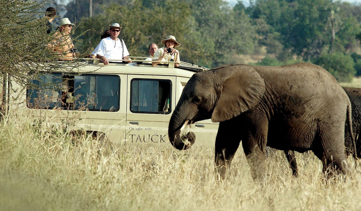 Tauck African Safari Tours