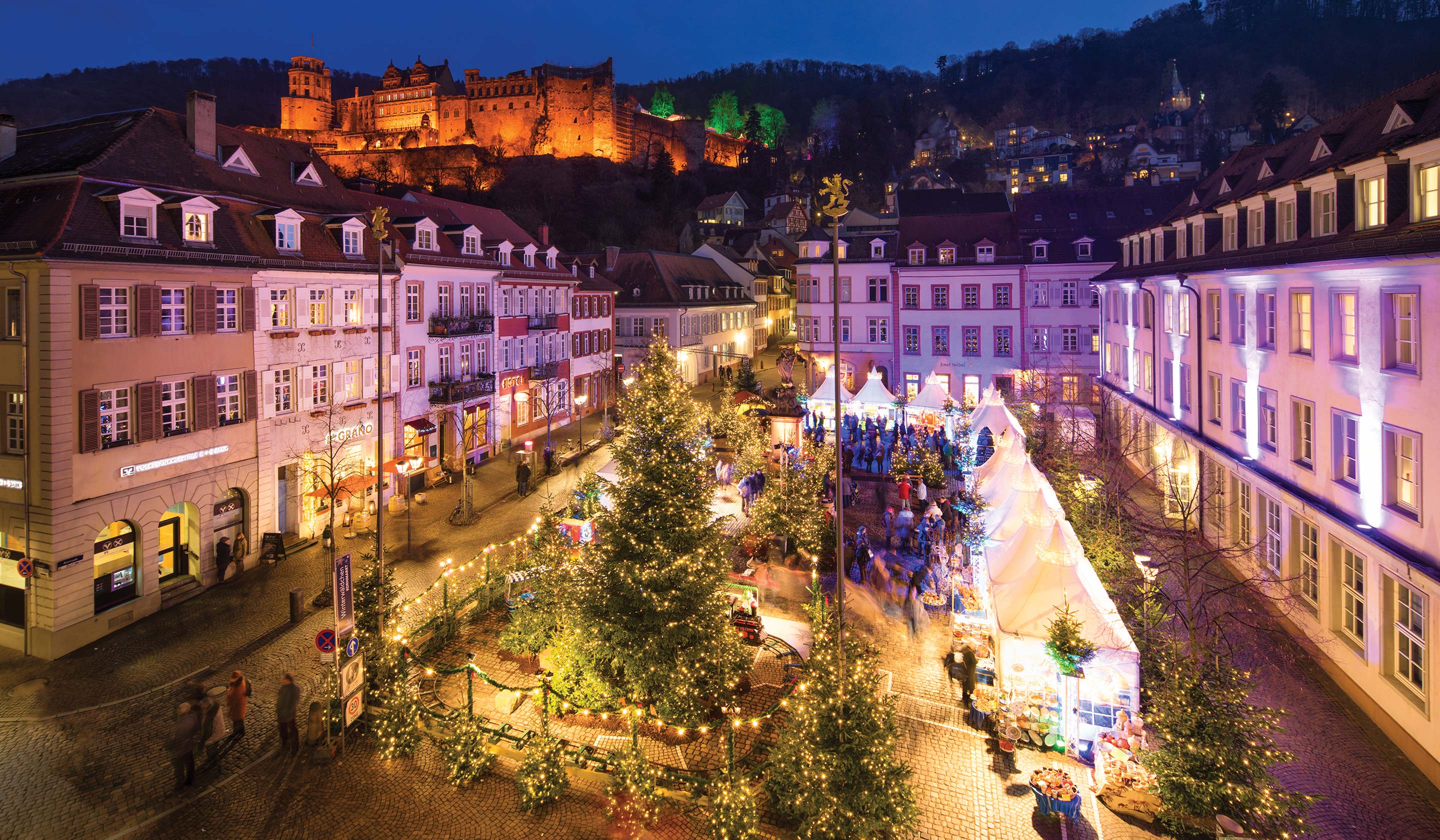 Best Christmas Market River Cruises