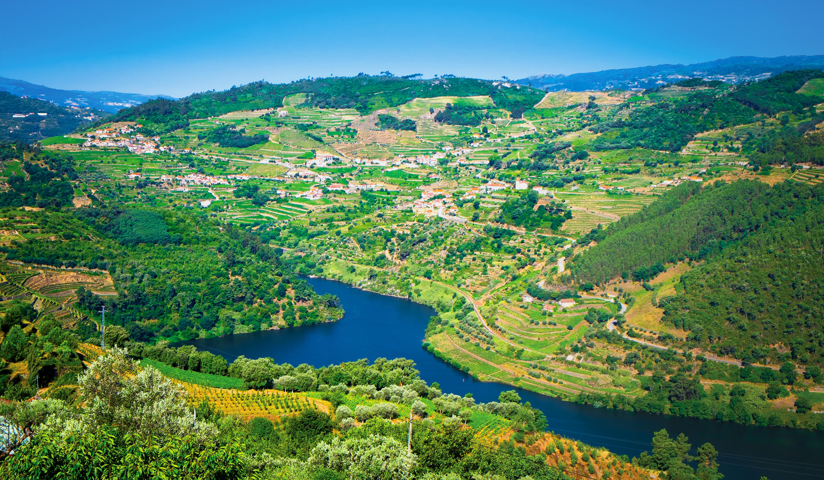 Portuguese Ethnicity Overview & Groups - Video & Lesson