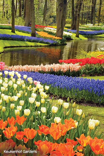 Keukenhof Gardens