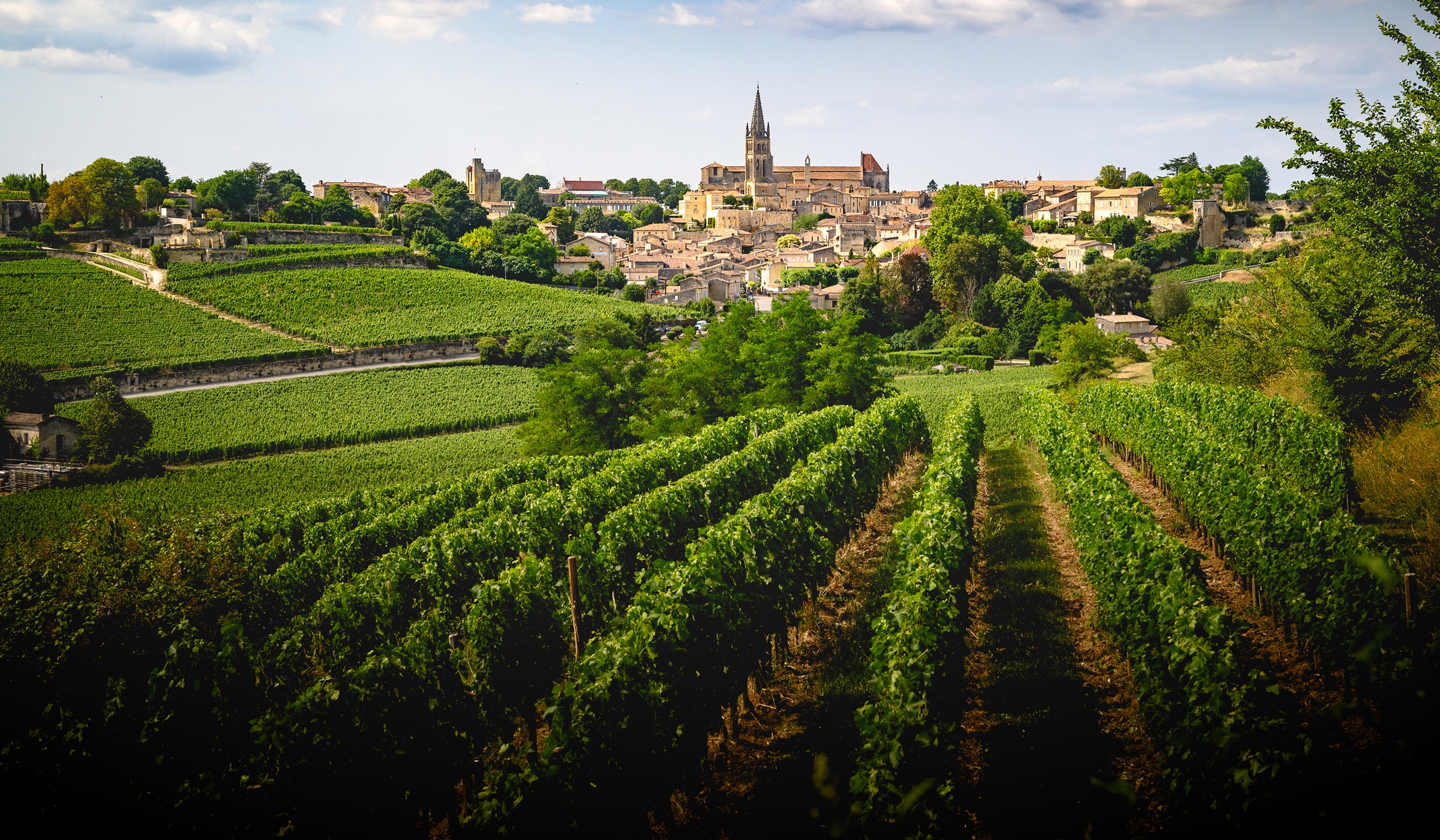 Sunlit vineyards stretching across rolling hills toward a picturesque European village with a church steeple in the distance.