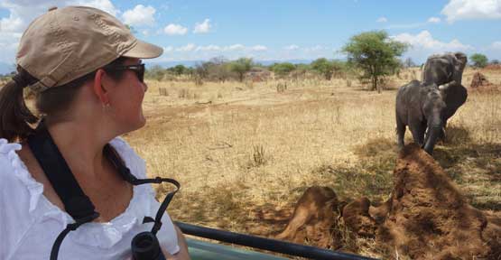 On Safari