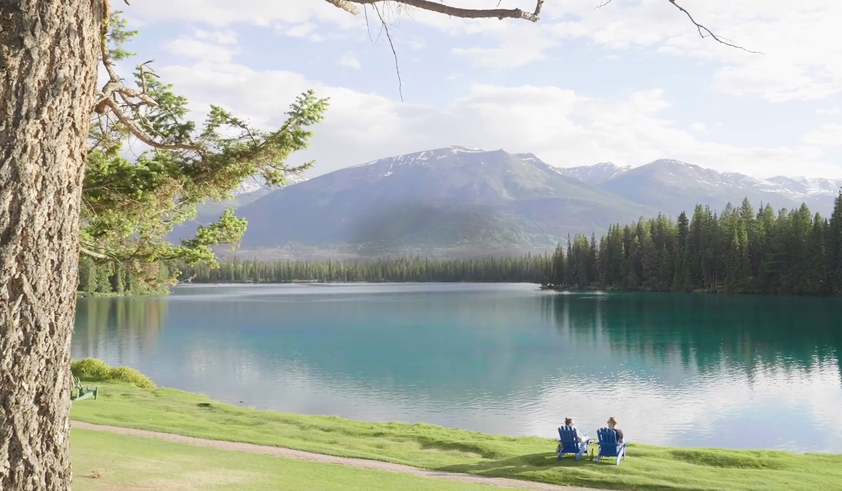 A Special Message From Dan