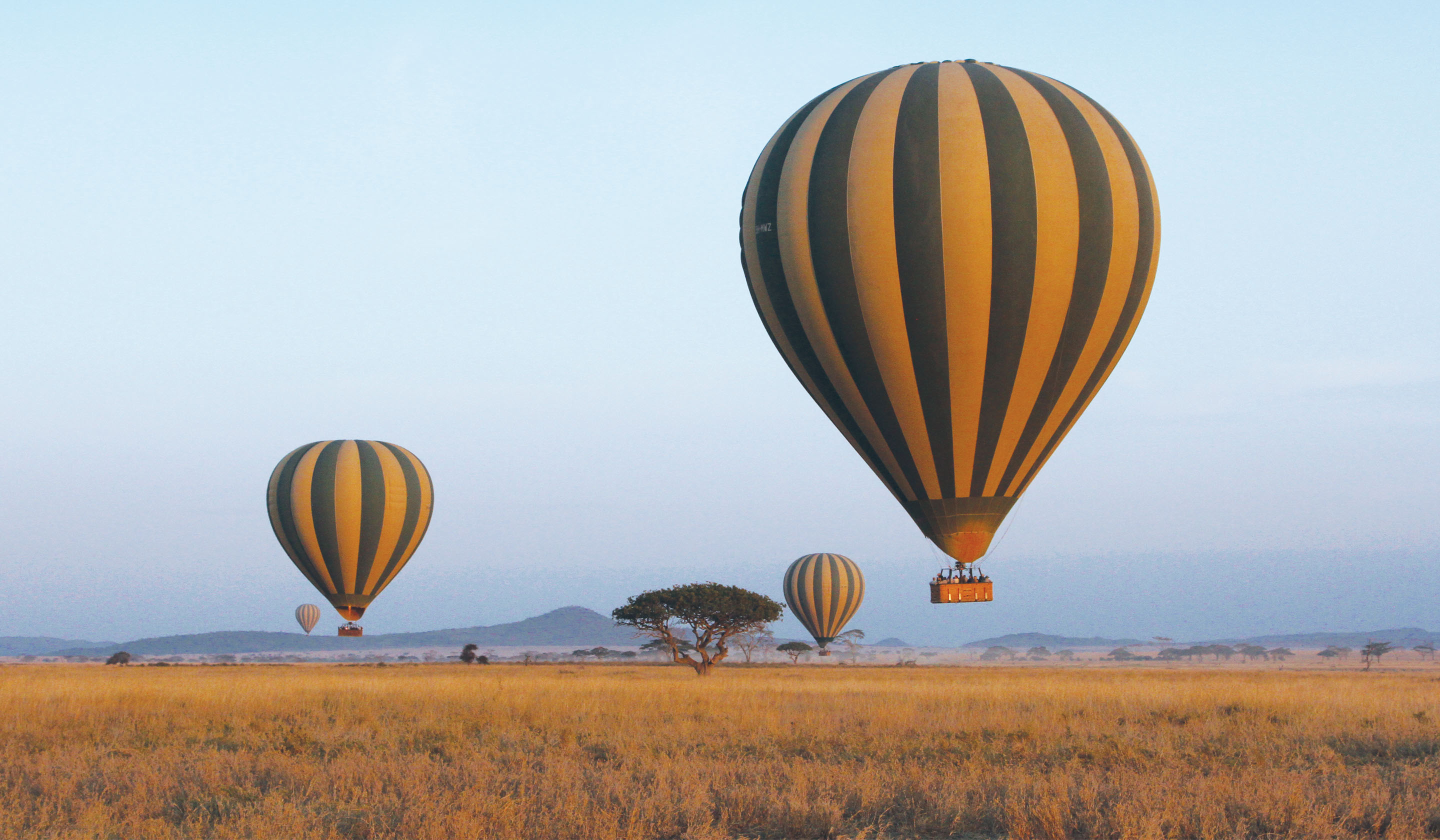 Leave your worries at home