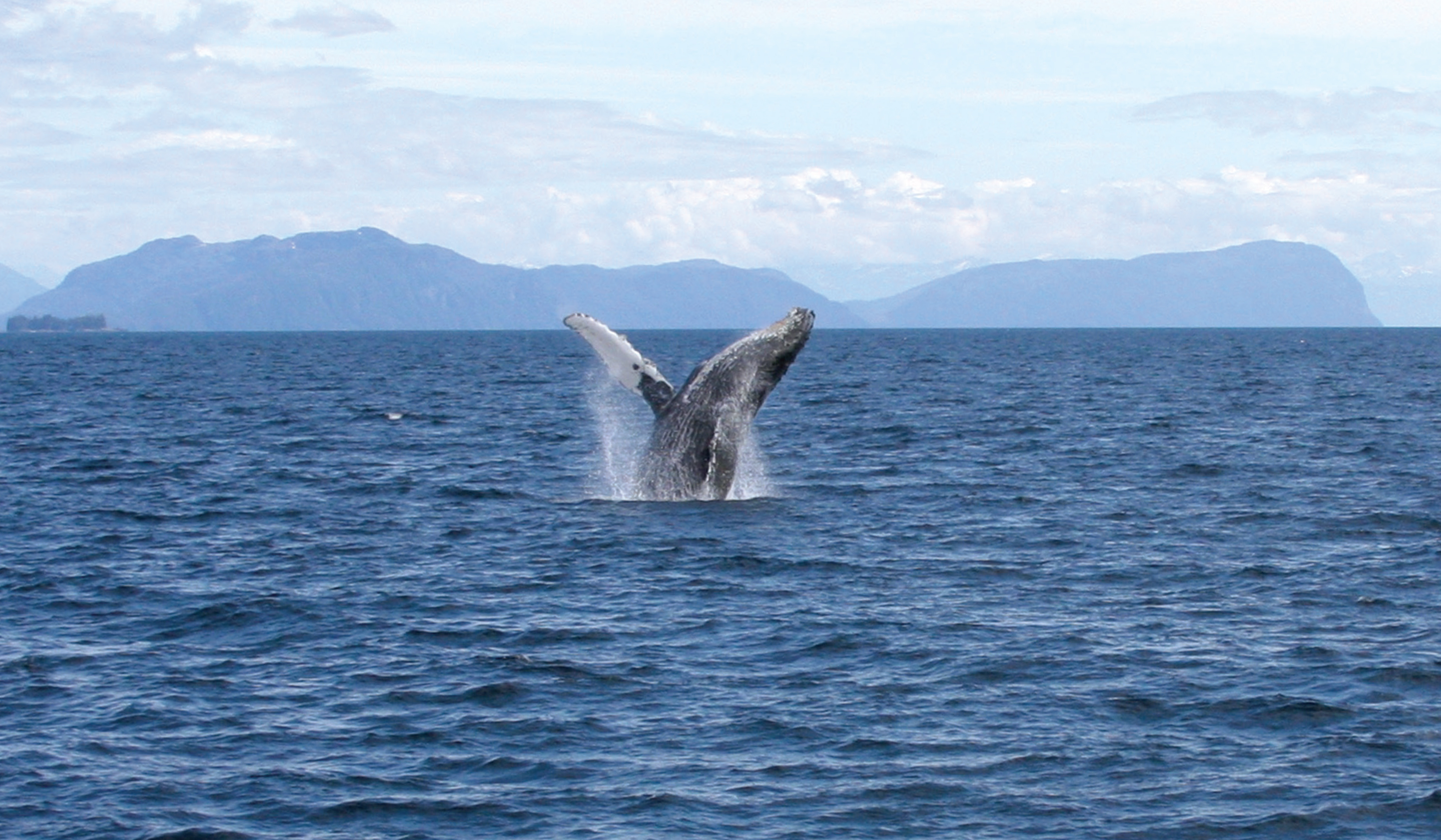 NEVER SETTLE FOR ORDINARY