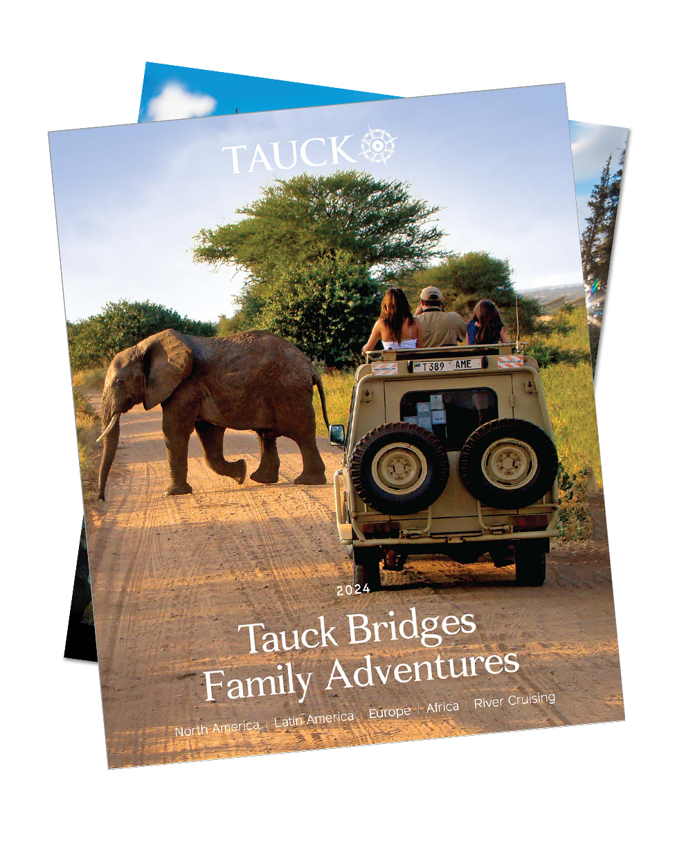 family friendly tour companies