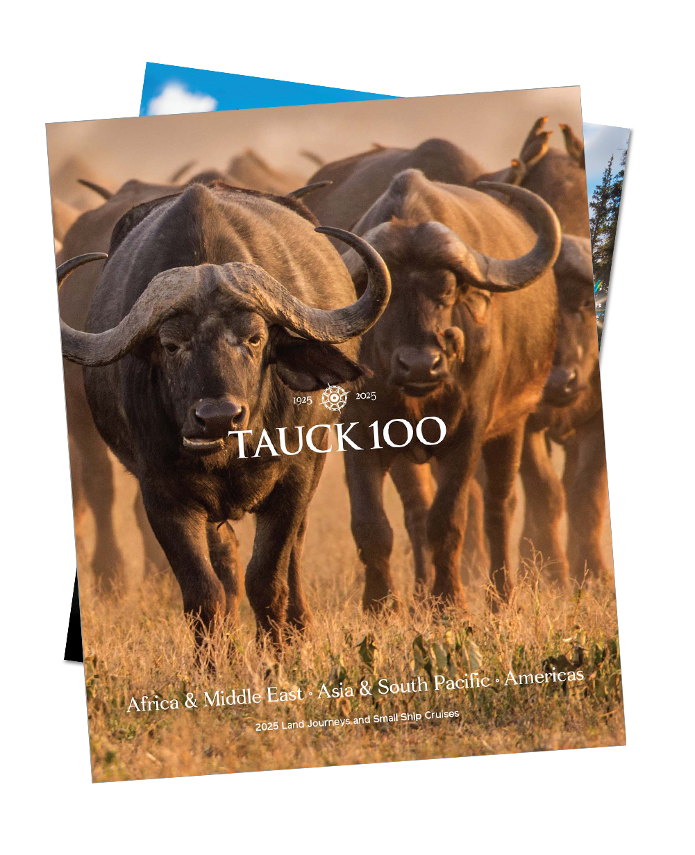 Japan Tours & Tour Packages Tauck