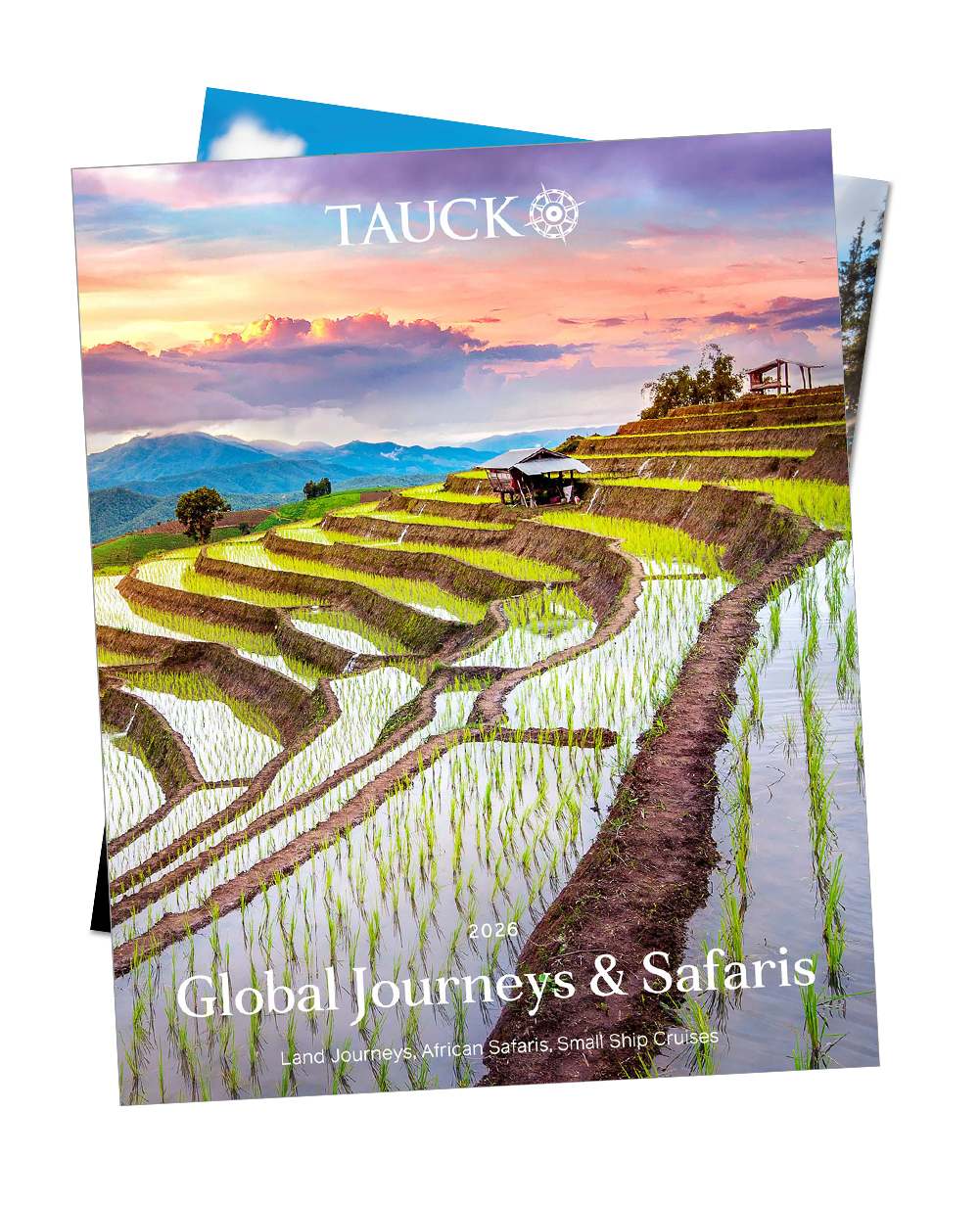 2026 Tauck Global Journeys & Safaris