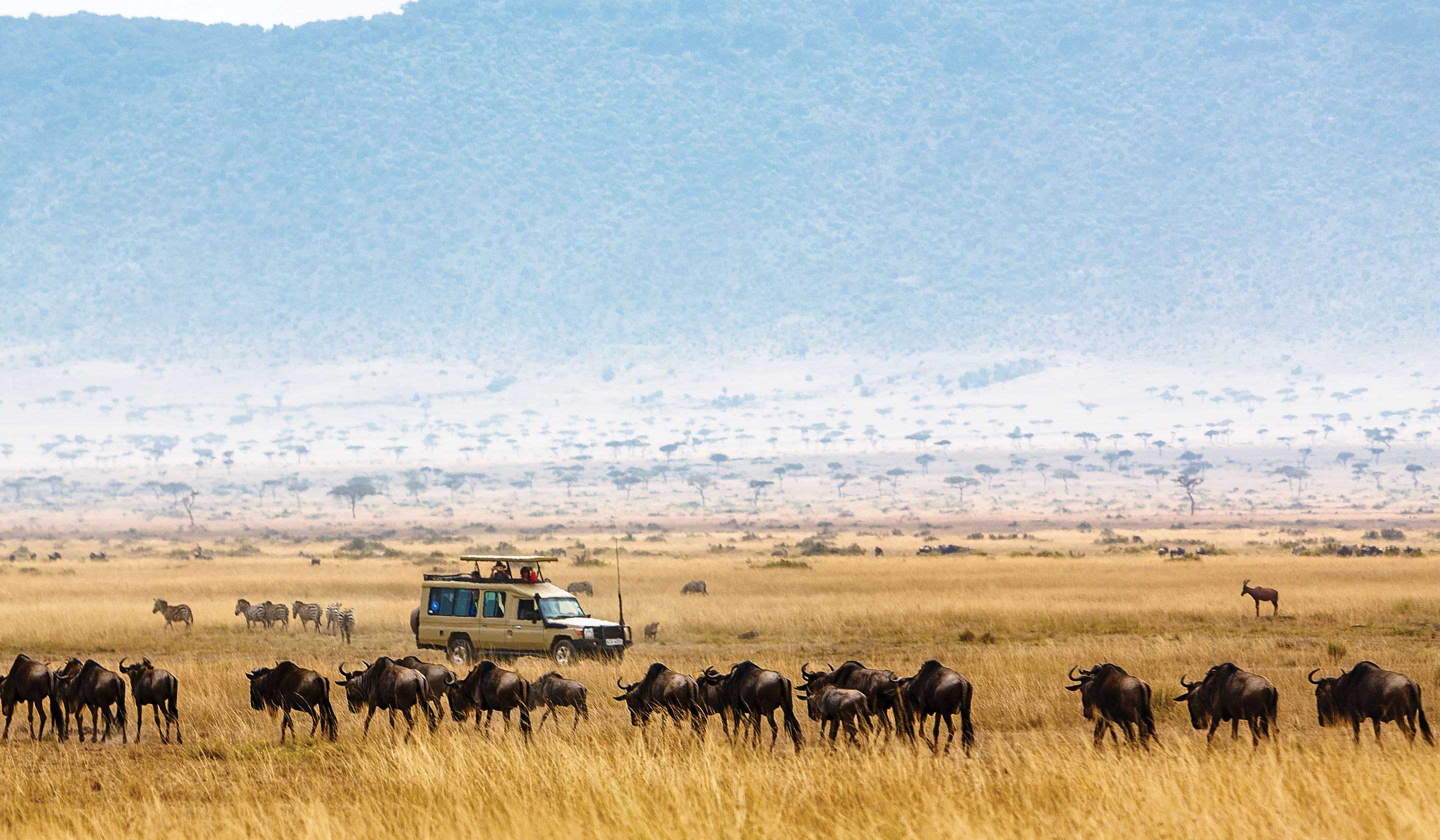 On Safari with Tauck in Africa
