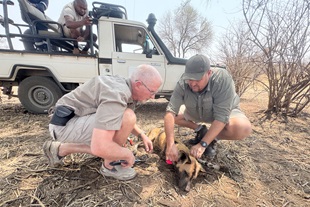 Victoria Falls Wildlife Trust, Zimbabwe