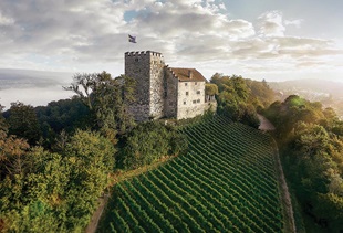 Tauck, Habsburg Castle