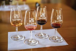 Tauck River Cruising