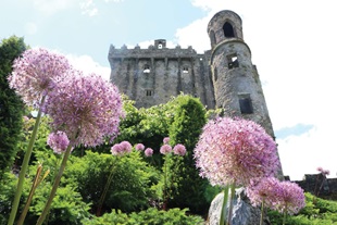 Blarney Castle
