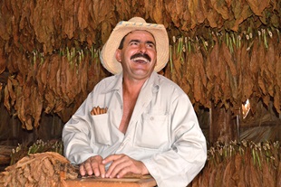 Tauck Cuban Tobacco Farmer