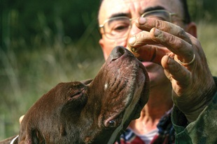 Truffle Hunting