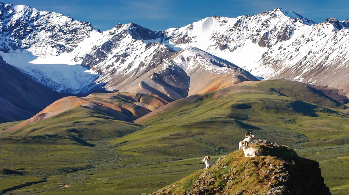 Alaska Guided Tours & Cruise Packages Tauck