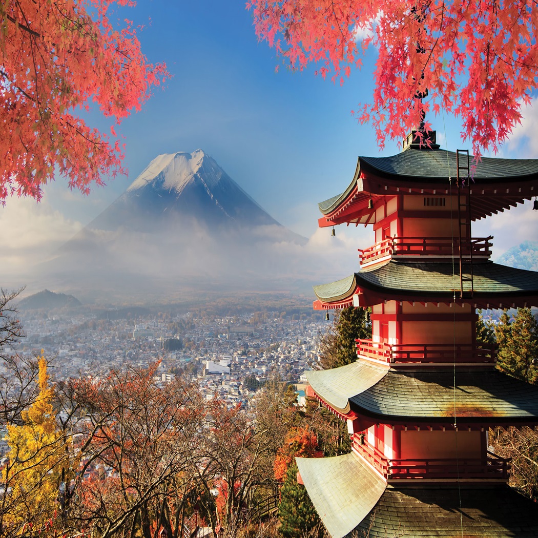 small escorted tours of japan