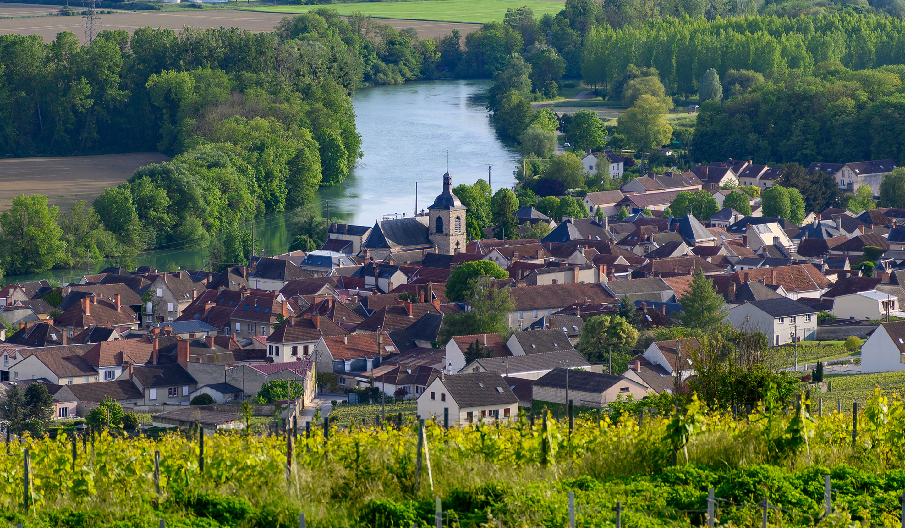 Tauck