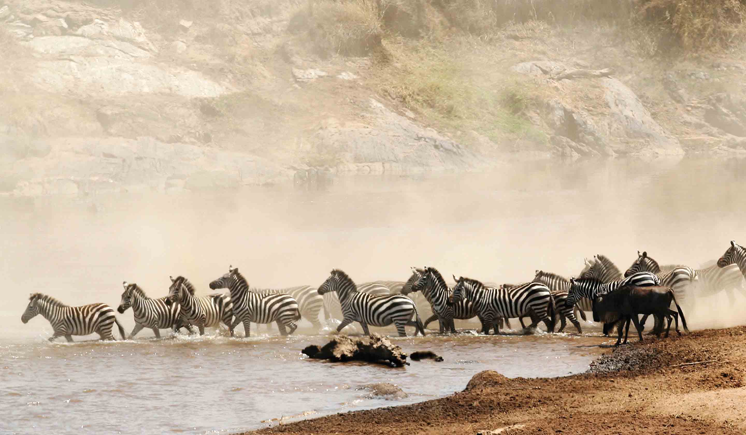 Classic Safari Kenya Tanzania Escorted Tour