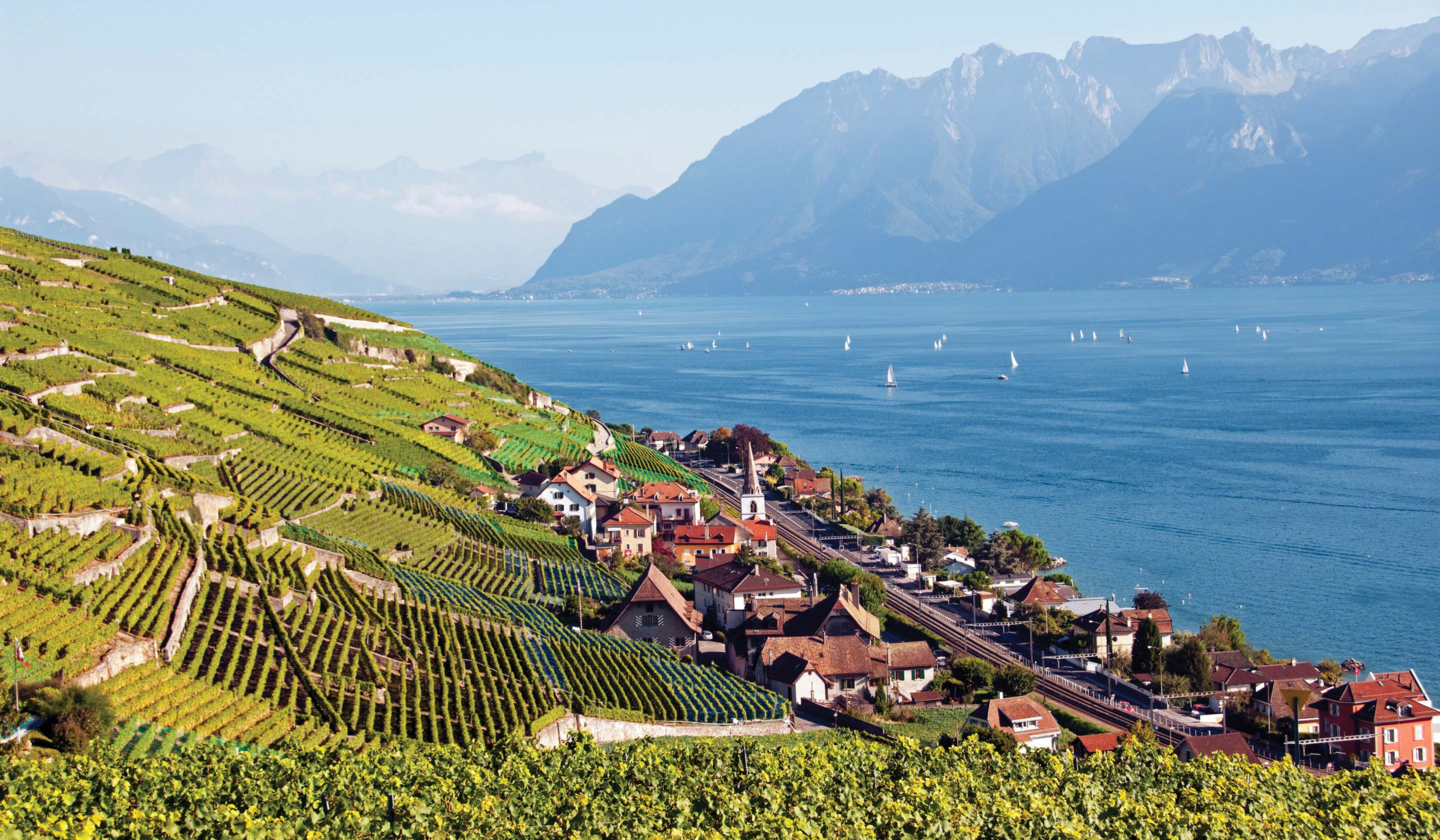 Rhine Connoisseur: Montreux to Brussels - Northbound