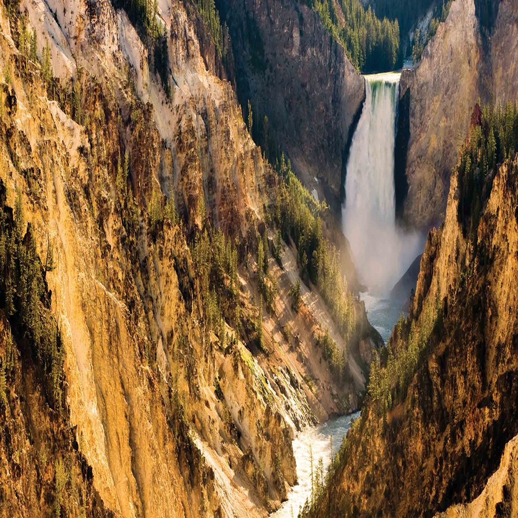 Yellowstone Tours & Grand Teton Tour Packages Tauck