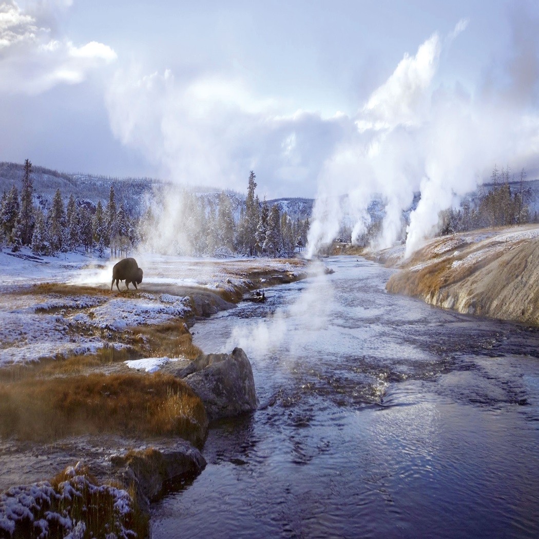 Yellowstone Winter Tours & Tour Packages Tauck