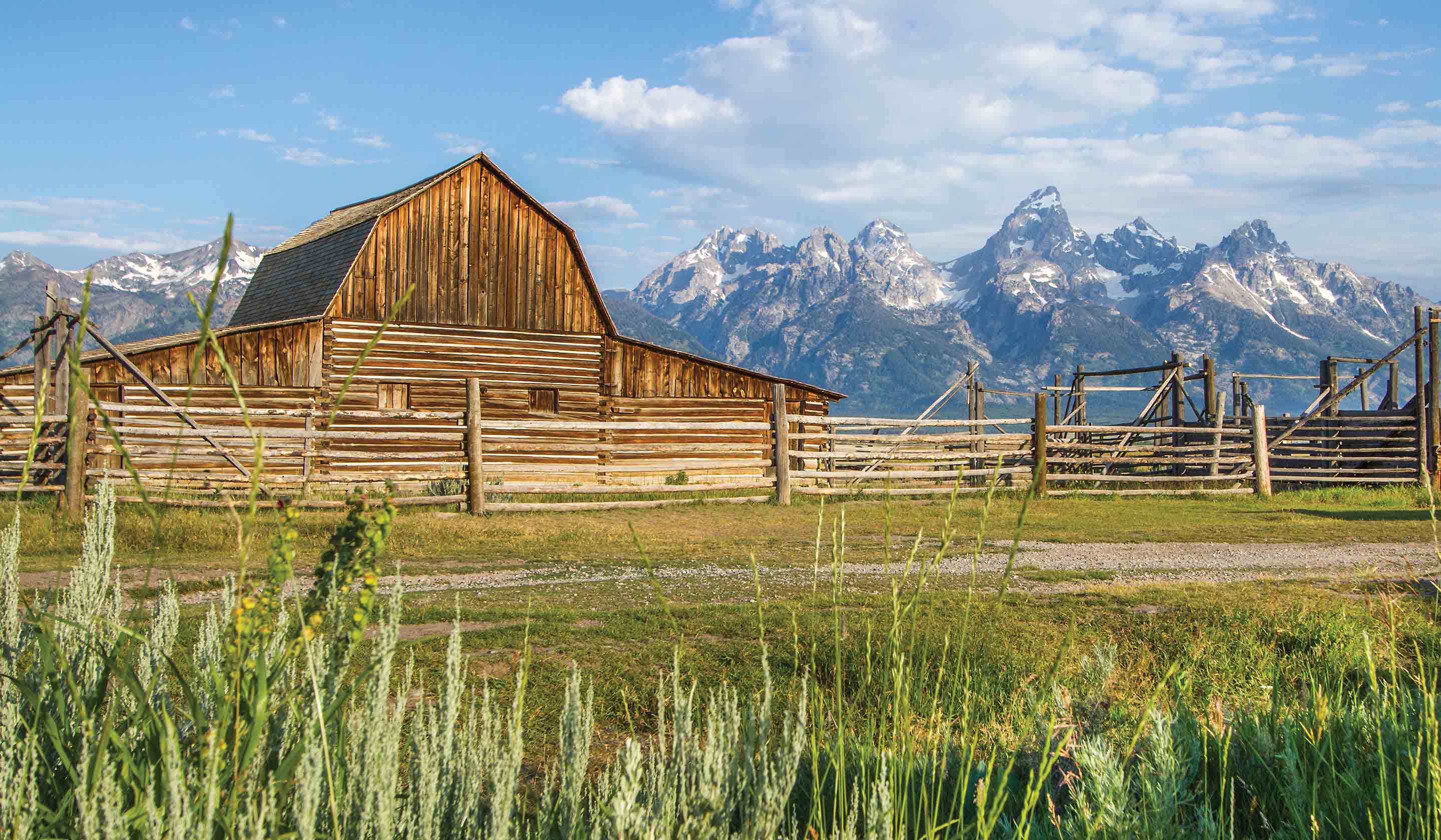 Yellowstone & the Tetons: American Safari