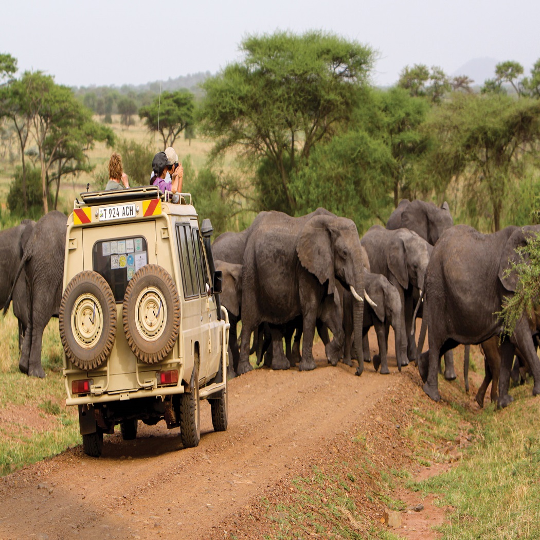 tauck tours kenya and tanzania