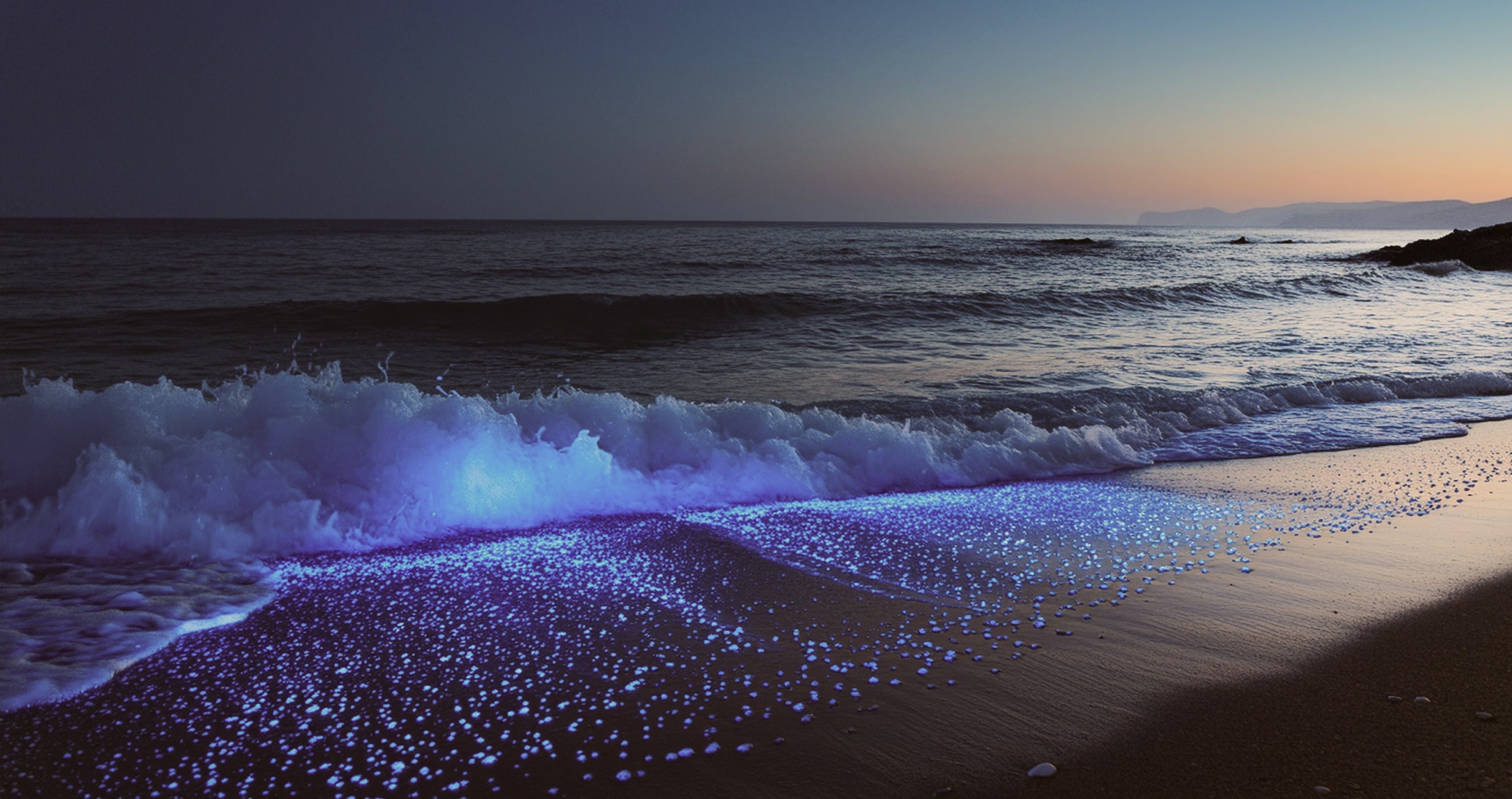 Bioluminescent Kayaking on Tomales Bay