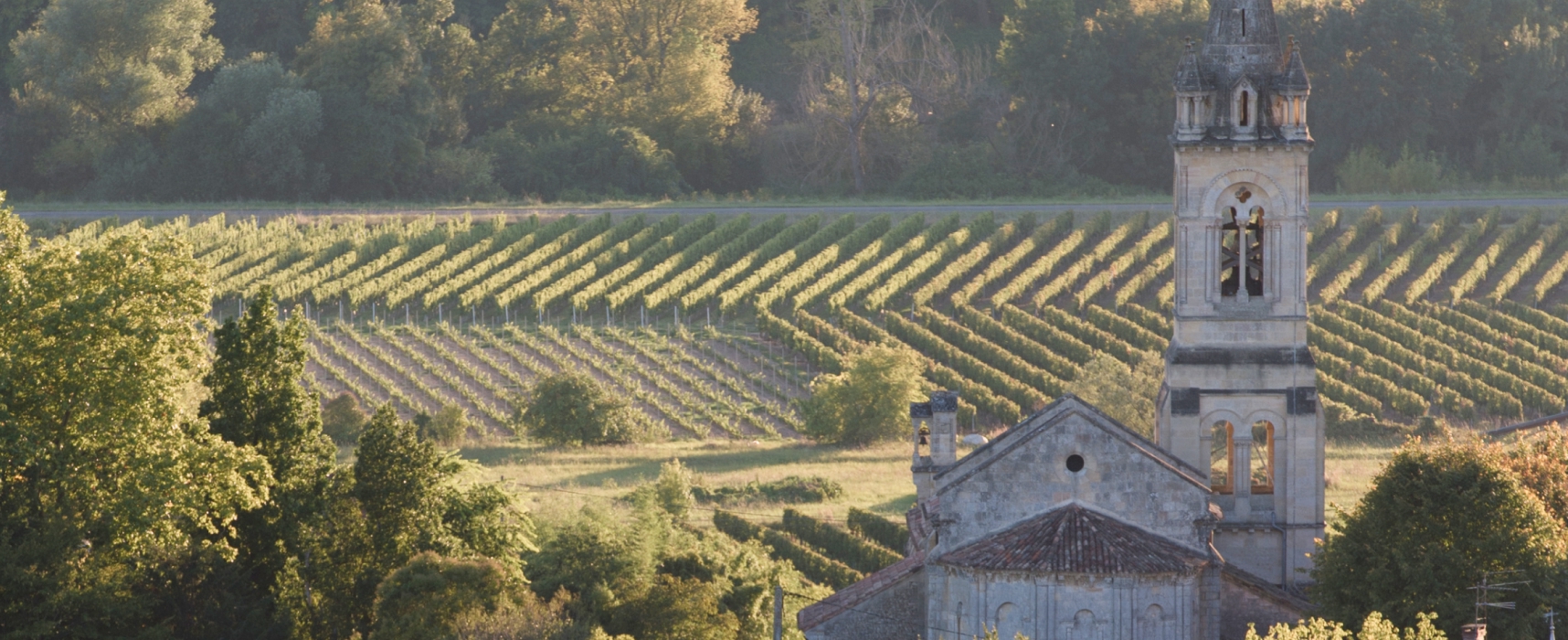 Historic stone church overlooking sunlit vineyard rows surrounded by lush green hills.