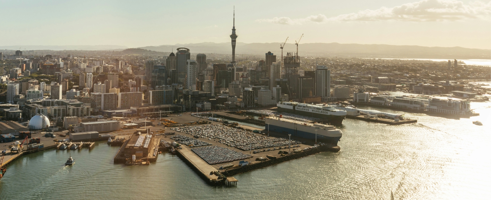 Aerial view of Auckland skyline with Sky Tower and harbor at sunset