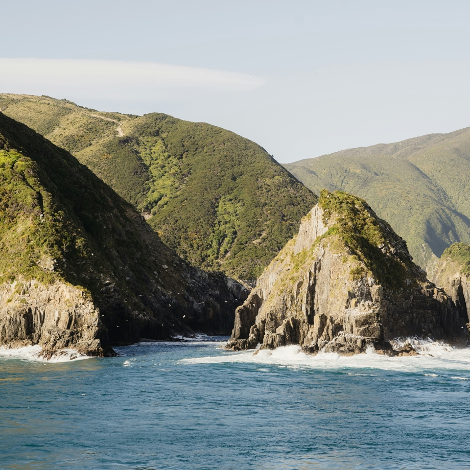 New Zealand: North & South