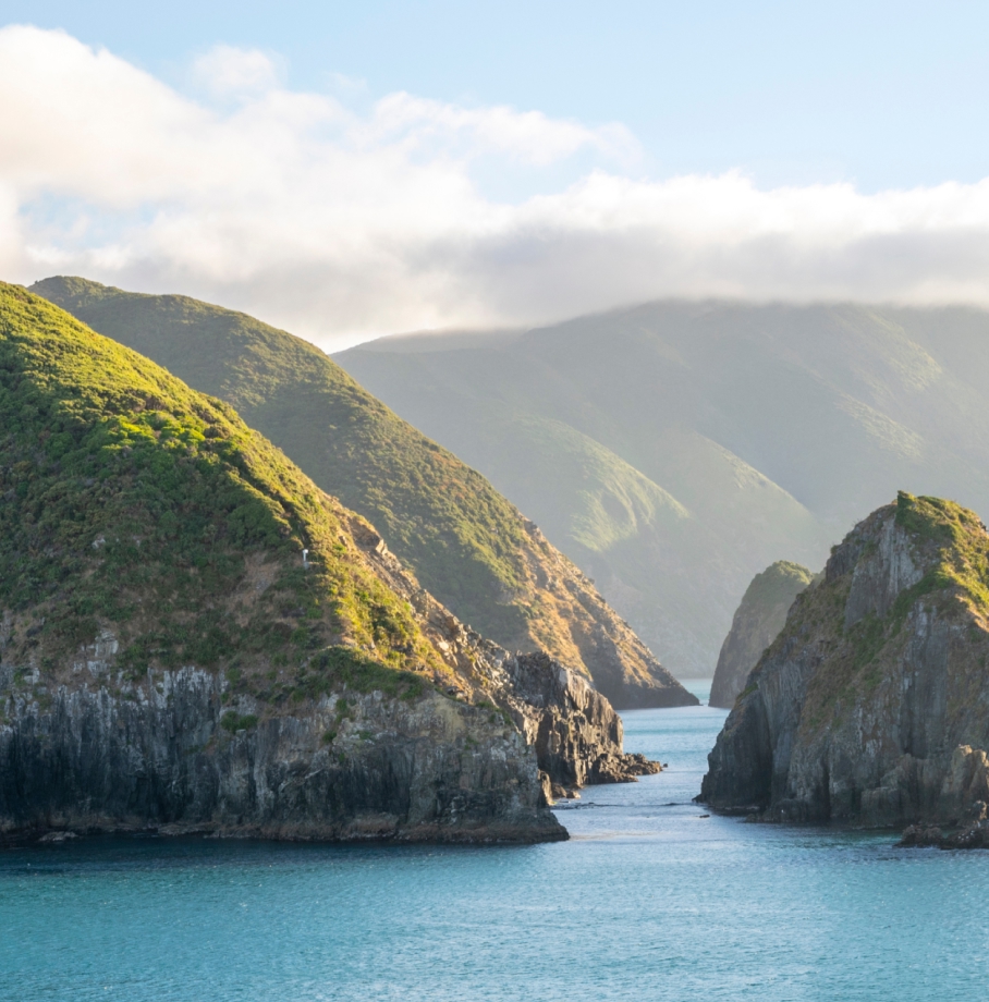 New Zealand: North & South