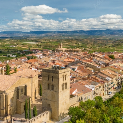 A Day in the Vineyards